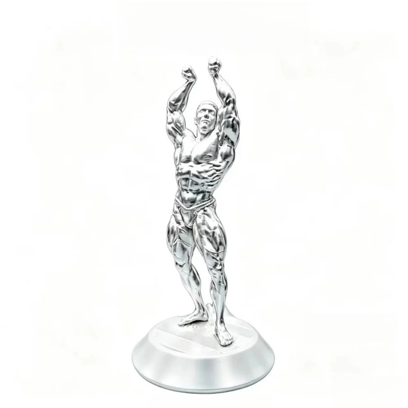 Figura de Competición Masculin - 3D Printing Gold reseña y precio