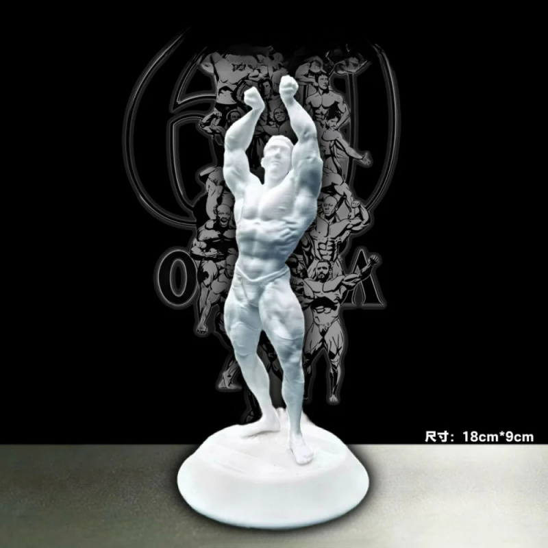 Figura de Competición Masculin - 3D Printing Gold reseña y precio